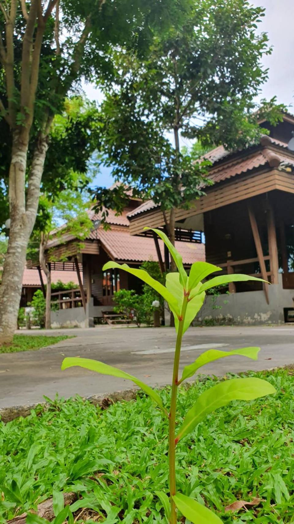 Ruenpruksa Resort Prachuap Khiri Khan Eksteriør billede